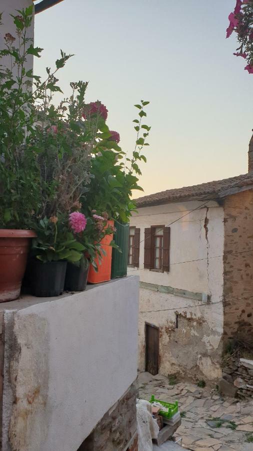 Sirin Ev Pansiyon Selçuk Kültér fotó